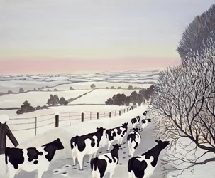 Friesians in Winter